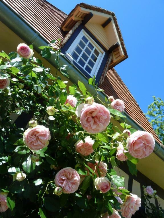 Le Clos Sainte Helene Glos-sur-Risle Exterior foto